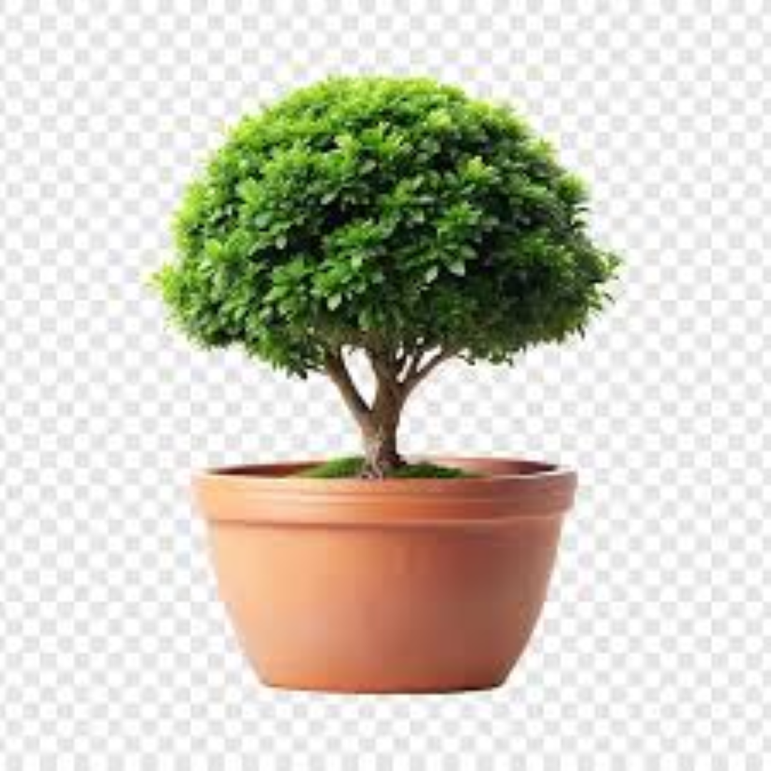 DECORIS MINI TREE IN POT GREEN/RED 683692